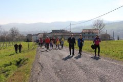 img_1258