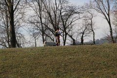 img_1275