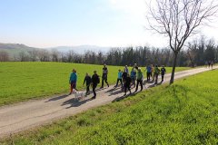 img_1294