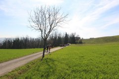 img_1299