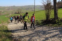 img_1331_0