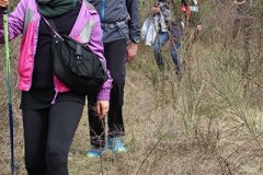 img_1531