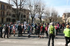 img_8752