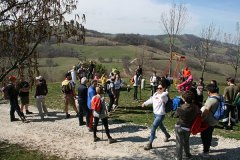 img_8773