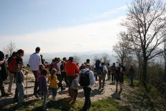 img_8780