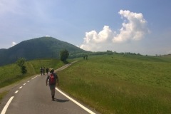wp_20150510_14_02_54_pro