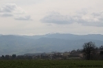 thumbs_img_1499