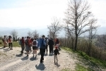 thumbs_img_8781