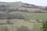 thumbs_img_8784